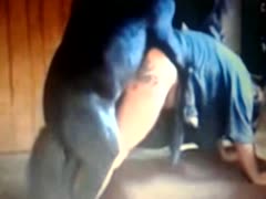 Dog goes wild on banging a gay beastiality ass